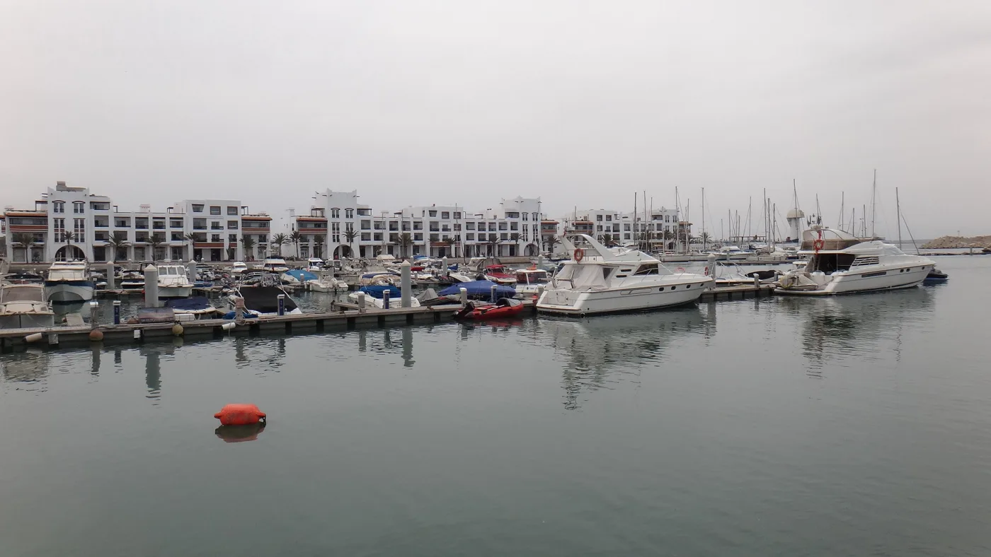 Dératisation et désinsectisation d'appartements à Agadir